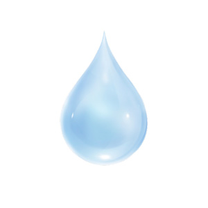 DO NOT WATER DO NOT WATER