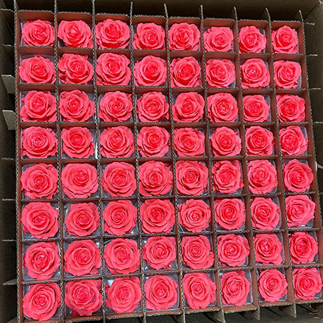 Preserved rose Preserved rose