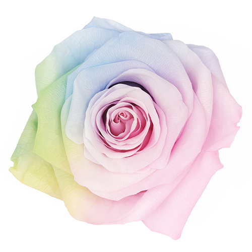 Light Tie-Dye